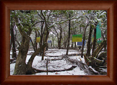 The London Art Museum