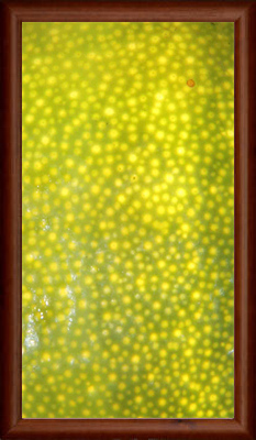 The London Art Museum