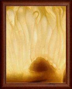 The London Art Museum