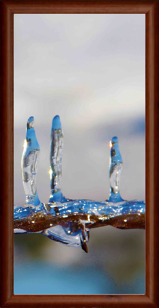 The London Art Museum