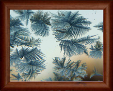 The London Art Museum